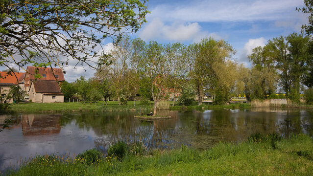 The village pond, known as Eisweiher, is idyllically situated in the village of Reichelshofen and serves as the starting point of the Franconian Beer Educational Trail.