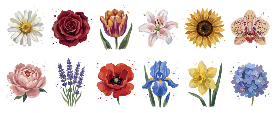 Flower icons set. Beautiful garden and wild floral collection. Includes daisy, rose, tulip, lily, sunflower, orchid, peony, lavender, poppy, iris, daffodil, hydrangea. Watercolor style