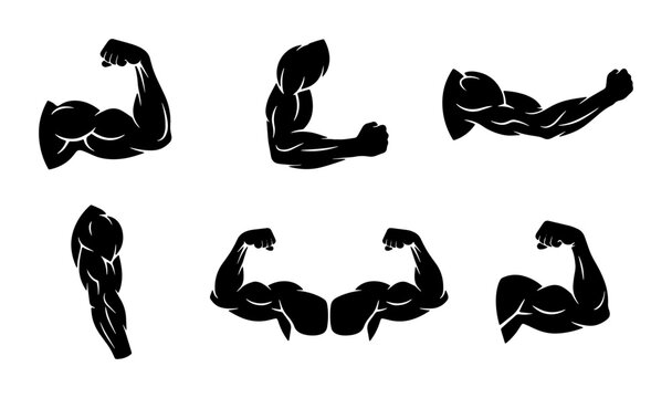 Muscular Bicep Flexing Arm Silhouettes, Bodybuilding Strength Icons, Fitness Workout Vector Set