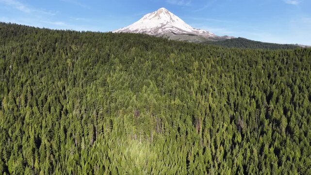 The iconic Mt. Hood is surrounded by national forest and spans all the way to the Columbia River Gorge in Oregon. This scenic and wild area, close to Portland, offers year-round recreation.