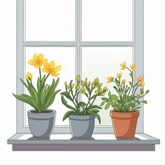 Fototapeta premium flower pot on the window 