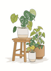 Fototapeta premium table pot with plant, money plants