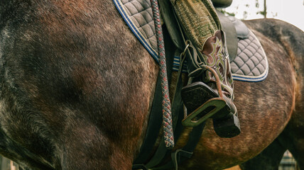 Close-up of a horse's side with saddle and cowboy boot in stirrup © shine.graphics