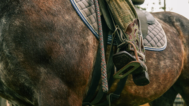 Close-up of a horse's side with saddle and cowboy boot in stirrup