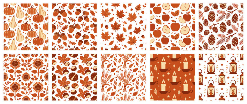 Autumnal themed patterns collage featuring natural elements creating a warm cozy decorative background design