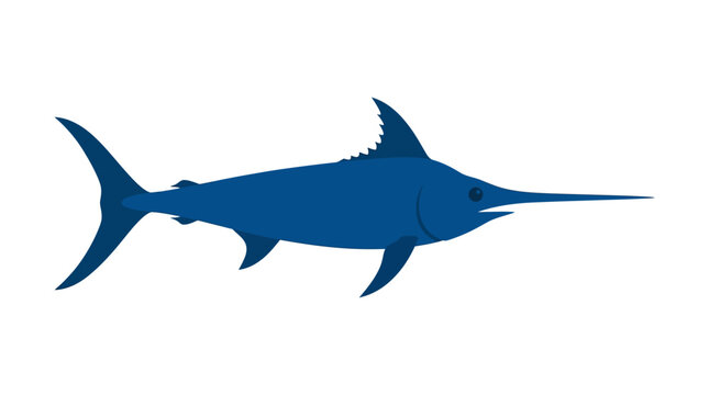 Blue marlin swordfish jumping illustration.