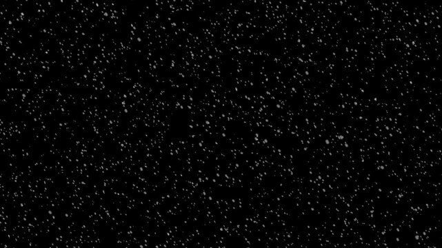 Real snow falls in cold winter with white snowflake overlay, black background snowfall animation, seamless loop with alpha channel transparency for christmas, holiday and new year design use