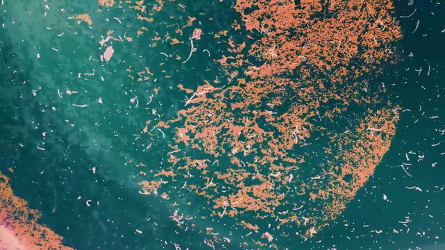 Dark Film Grain ink stains Loop Overlay. High quality 4k footage