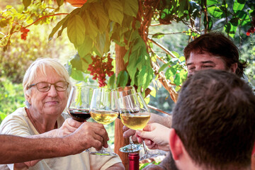 Fototapeta premium Friends toasting wine at outdoor garden gathering