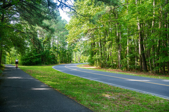 Scenic forest roadway with cyclist and bike path in Assateague Island park Virginia USA travel