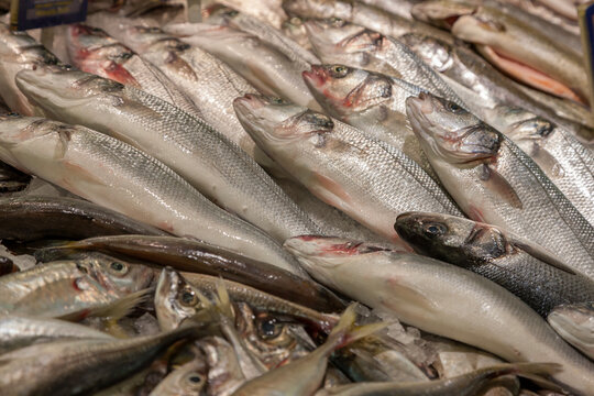 Fischverkauf frische Wolfsbarsche , Mallorca