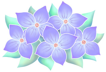 Obraz premium 花のイラスト - フラワーペインティング・植物
