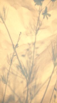 meadow grass shadows on wrinkled vintage yellow-orange fabric