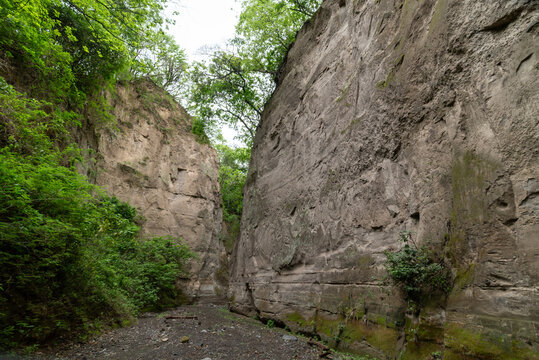 ca&ntilde;&oacute;n de zacualpan