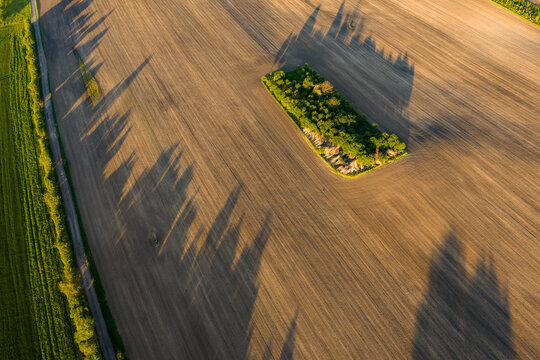 Aerial view of a plowed field with a small patch of trees casting long shadows during golden hour in Chvalkovice, Hradec Kralove Region, Czechia.