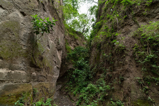 ca&ntilde;&oacute;n de zacualpan
