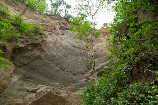 ca&ntilde;&oacute;n de zacualpan