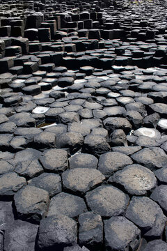 Volcanic Rock Path at Giants Causeway