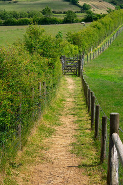 Irish Farmland with Fence and Gate