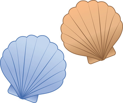 clams seashell vector isolated illustration on white background