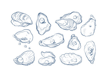 Oyster Shell With Pearl Sketch Set © Mykola Syvak