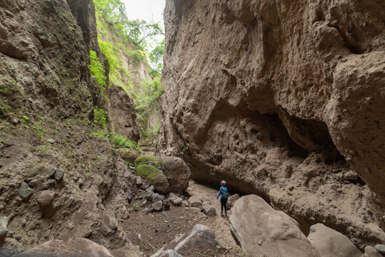 ca&ntilde;&oacute;n de zacualpan