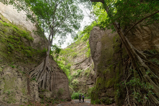 ca&ntilde;&oacute;n de zacualpan