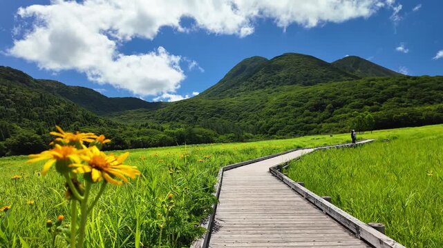 夏のタデ原湿原