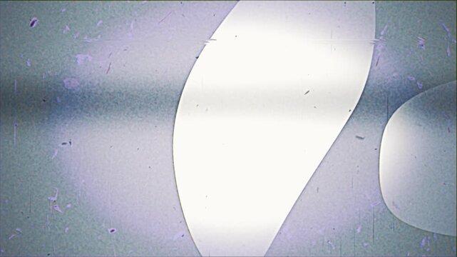 Abstract minimalist animation featuring smooth organic shapes shifting and merging on a clean gray background.