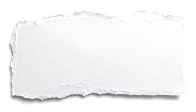 Isolated rectangular piece of torn white paper with ragged deckle edges and soft shadow