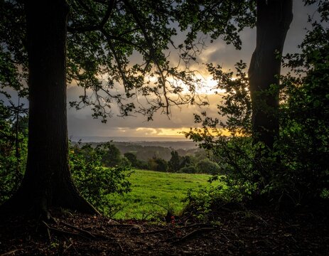 Framing shot of a grassy meadow through two large tree trunks, glowing sunset light breaking through dark clouds, forest horizon, rural nature, tranquil outdoors.