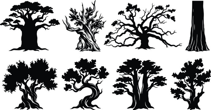 Vector collection of old gnarled tree silhouettes including baobab oak and majestic ancient forest trees