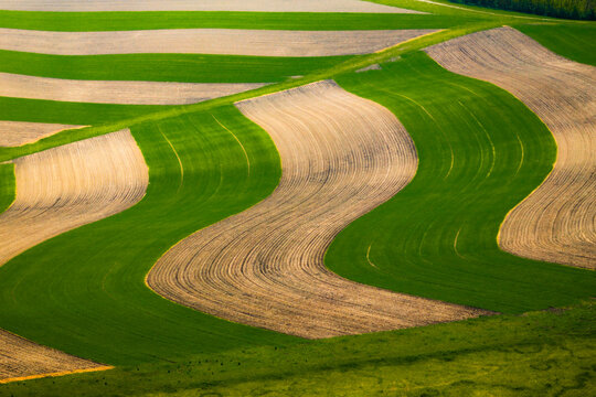 Aerial view of undulating agricultural fields with alternating strips of green crops and tilled brown soil in Brno, South Moravian Region, Czechia.