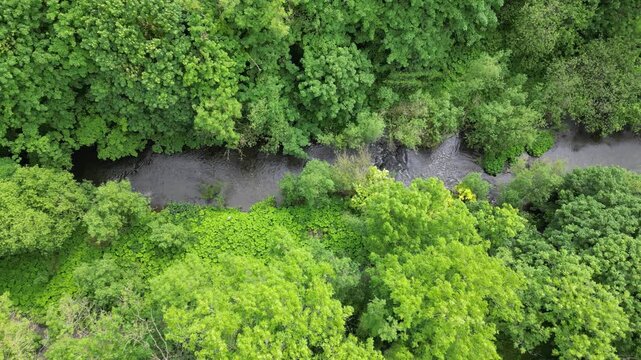 Drone tracking shot of a river flowing through Millers Dale forest