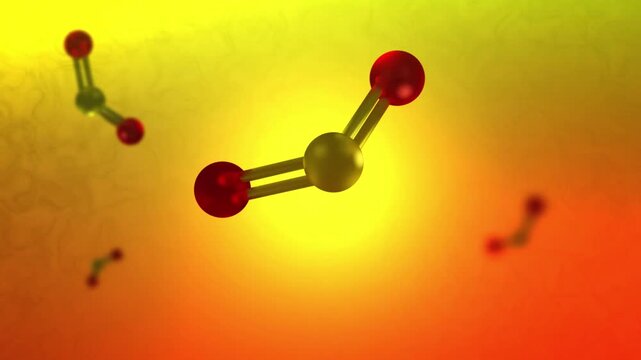 Sulfur Oxide Air Pollutant in Biological Microscopic World