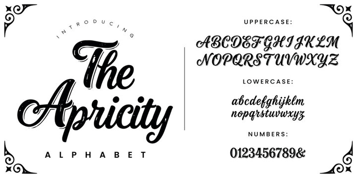 The Apricity brush script font modern calligraphy alphabet with swashes and textured letters