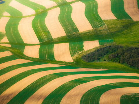 Aerial view of undulating agricultural fields with alternating green and brown contour strips in Brno, South Moravian Region, Czechia.