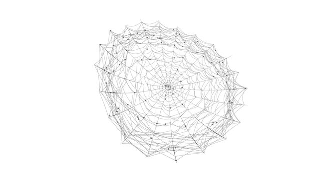 Intricate Spider Web on White Background