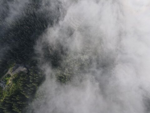Aerial view of the French Alps near Chamonix, featuring dense pine forests partially obscured by thick white clouds in Chamonix, Auvergne-Rhone-Alpes, France.