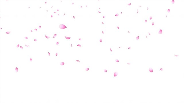 Cherry blossom petals falling animation. Pink cherry petals. Sakura leaves falling. Realistic falling blossoms. Falling petals. Japanese spring concept