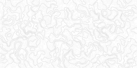 Gray topographic map contour lines on white background for design  geographic illustration © MD.HUZZATULLAHISLAM