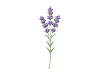 Obraz premium 3D Rendered Lavender Sprig with Purple Flowers and Green Stem for Cosmetic Packaging Aromatherapy Branding and Floral Design Elements