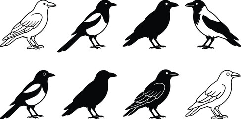 Crow Raven and Magpie Standing Birds Silhouette and Outline Vector Icon Set Collection for Logos, Halloween Designs, Nature Themes, and Graphics © SUMON