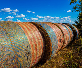 Obraz premium Patriotic Wrapped Hay Bales With Blue Sky, Washington, Texas, USA