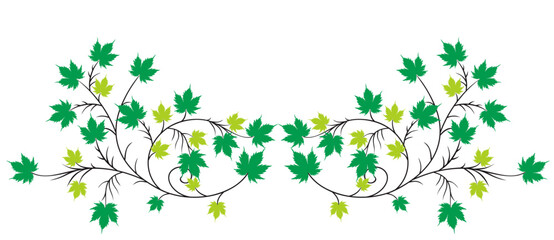 Fototapeta premium Silhouette of a tree and branches with green leaves.