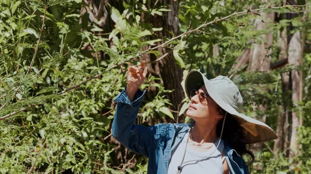 Woman botanist examining a plant in a green forest