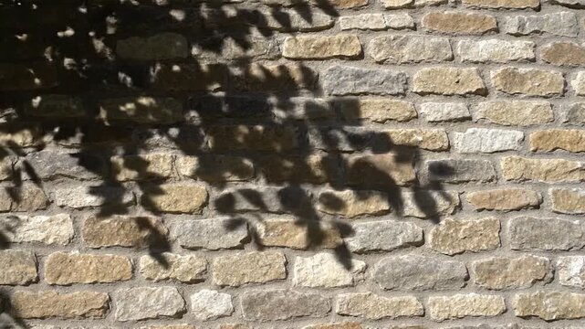 Tree leaf shadows fall on a rustic brown stone wall background