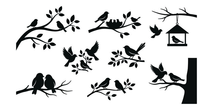 Collection of black silhouettes of birds perched on tree branches and flying near a bird feeder nest birdhouse nature wildlife animal avian spring summer outdoor artistic