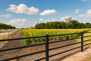 Fototapeta premium Vibrant Crop Field and Plano Water Tower Behind Black Metal Fence in Plano Texas