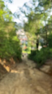 Blurred forest path downhill trail, outdoor background
